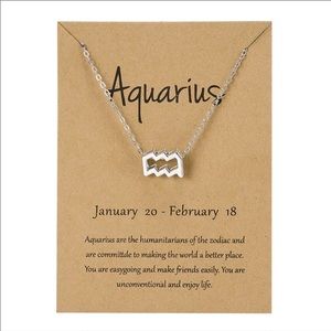 Aquarius zodiac charm necklace